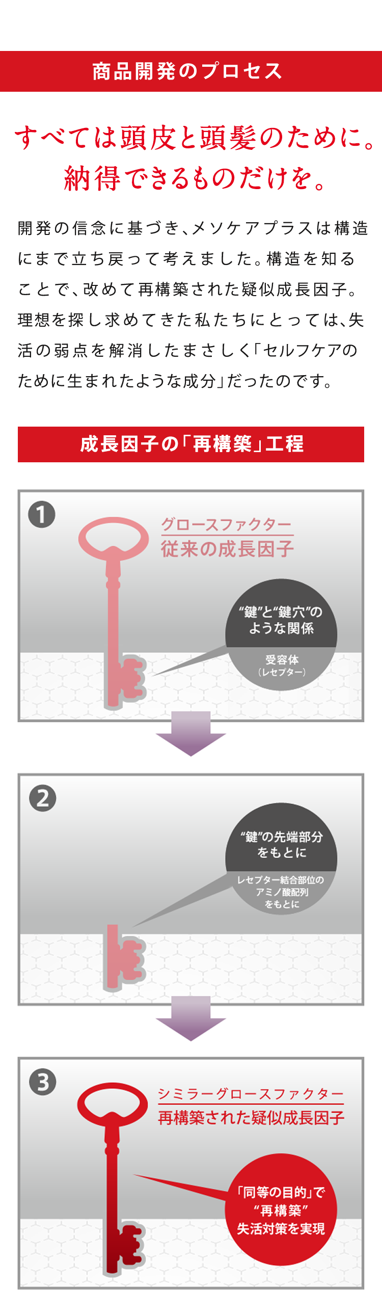 頭髪研究、発 のこだわり すべては頭皮と頭髪のために。納得できるものだけを。開発の信念に基づき、メソケアプラスは構造にまで立ち戻って考えました。構造を知れば、「再構築」された成長因子。理想を追求し続けてきた私たちにとっては、まさしく「セルフケアのために生まれたような成分」だったのです。
