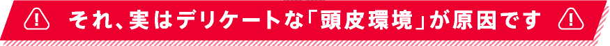 それ、実はデリケートな「頭皮環境」が原因です