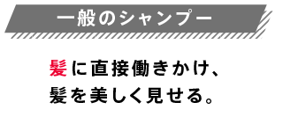 一般のシャンプー髪に直接働きかけ、髪を美しく見せる。