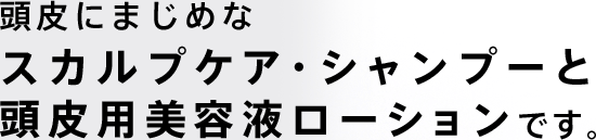 頭皮にまじめなスカルプケア・シャンプーと頭皮用美容液ローションです。