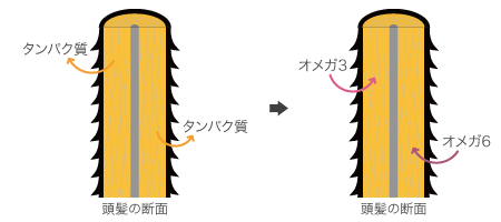 ステップ1 [毛髪] 浸透・充填する