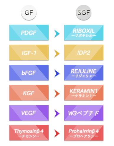 弱点解決のためのアプローチSGF(シミラーグロースファクター 疑似成長因子)